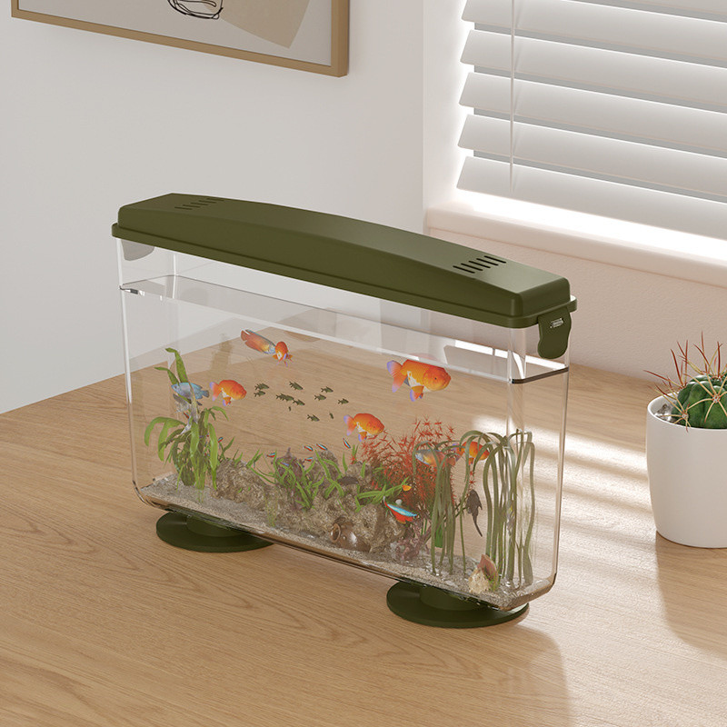 Small Fish Shrimps Turtle Tank - Aquarium Fish In Bowl recension och pris