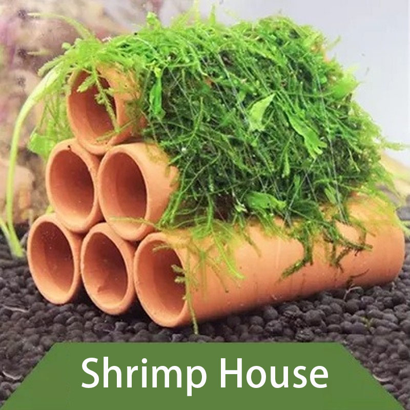 Clay Aquarium Decoration Fish  - Aquarium Fish Tank Price recension och pris
