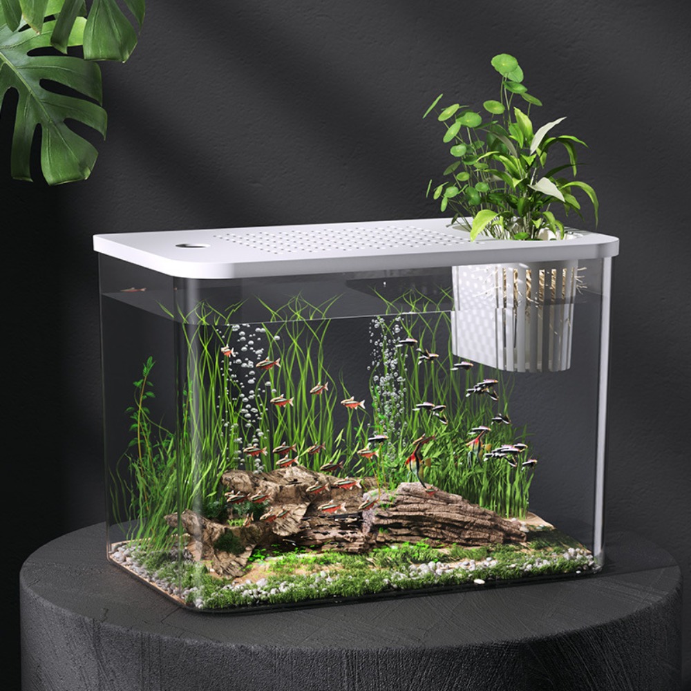 PET+ABS Fish Tank Transparent  - Aquarium Fish For Sale recension och pris