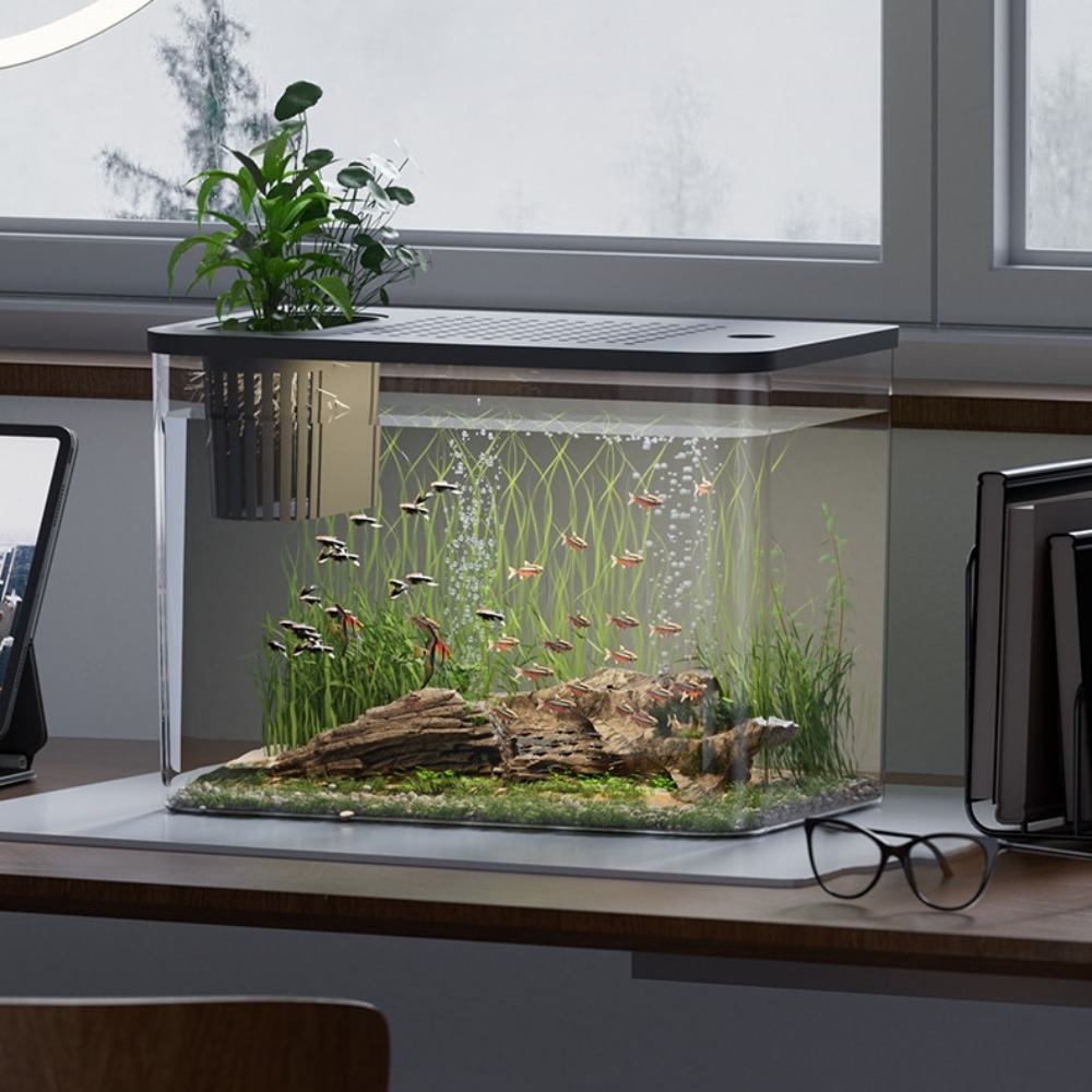 PET+ABS Fish Tank Transparent  - Aquarium Fish For Sale recension och pris