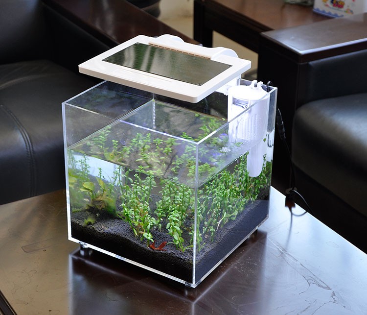 Mini Acrylic (25*25*25cm) Sale - Aquarium Fish Sale recension och pris