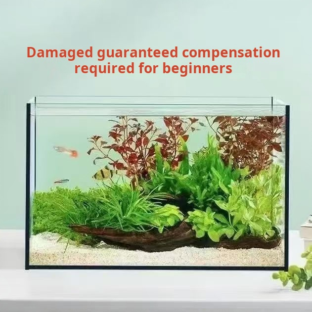 Ultra Clear Large Rectangle Gl - Aquarium Fish Keeping recension och pris