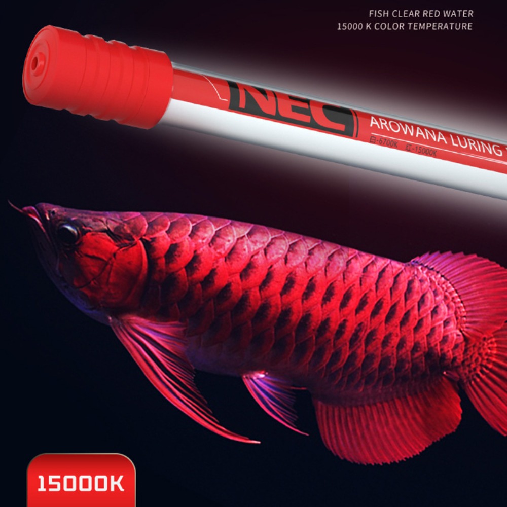 NEC-Arowana Lamp Color Brighte - Aquarium Fish Youtube recension och pris