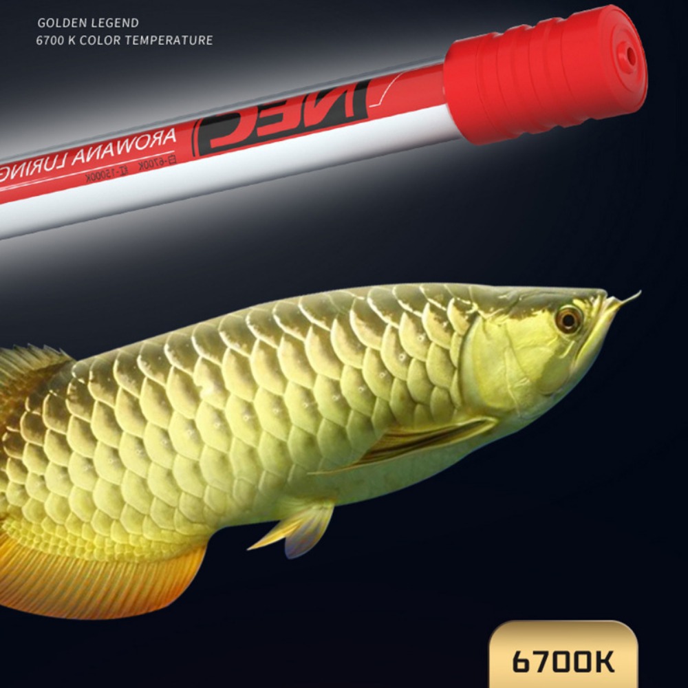 NEC-Arowana Lamp Color Brighte - Aquarium Fish Youtube recension och pris