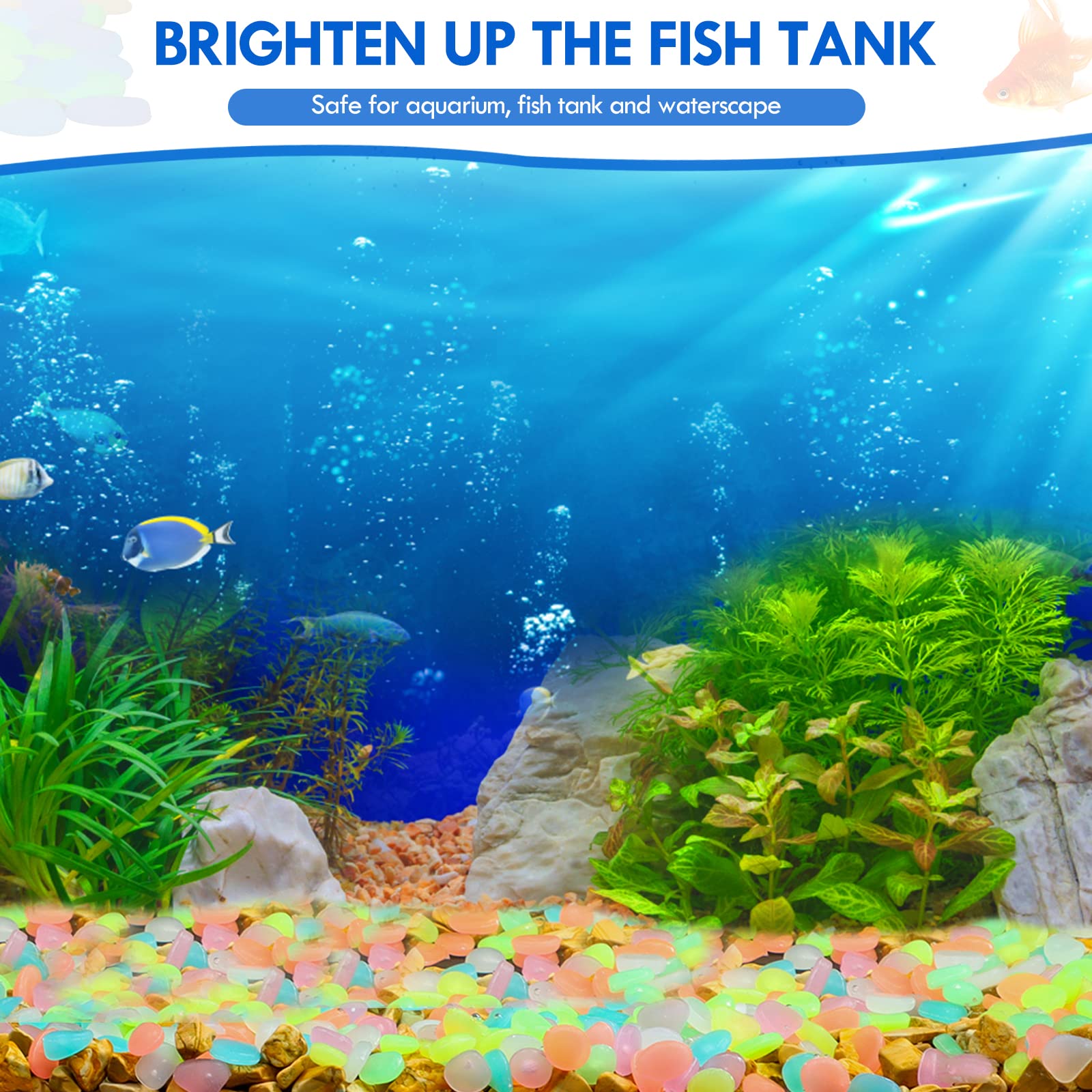 100Pcs Glow in the Dark Garden - Aquarium Fish That Glow In The Dark recension och pris