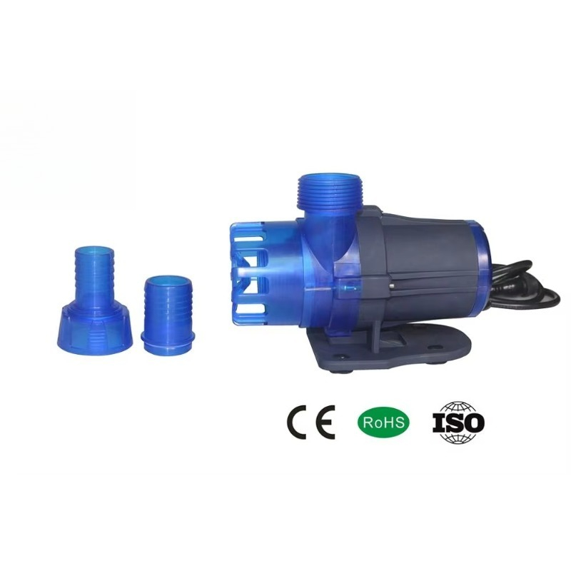 Hot Sale Extra Quiet Seawater  - Aquarium Fish For Sale recension och pris