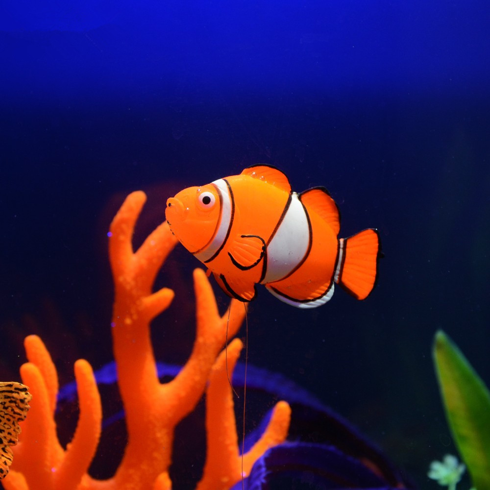 Glow in the Dark Luminous Sili - Aquarium Fish That Glow In The Dark recension och pris