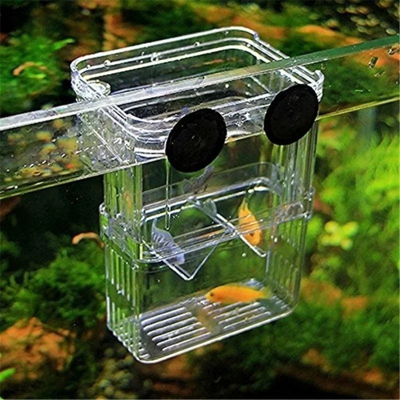 Multifunctional Fish Aquarium  - Aquarium Fish In Bowl recension och pris