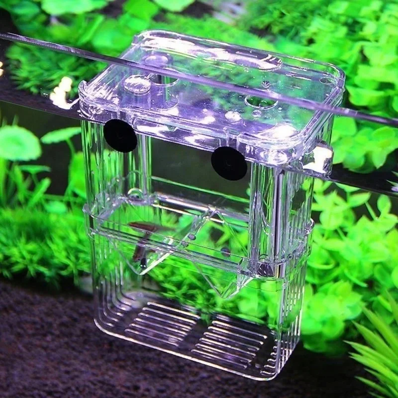 Multifunctional Fish Aquarium  - Aquarium Fish In Bowl recension och pris
