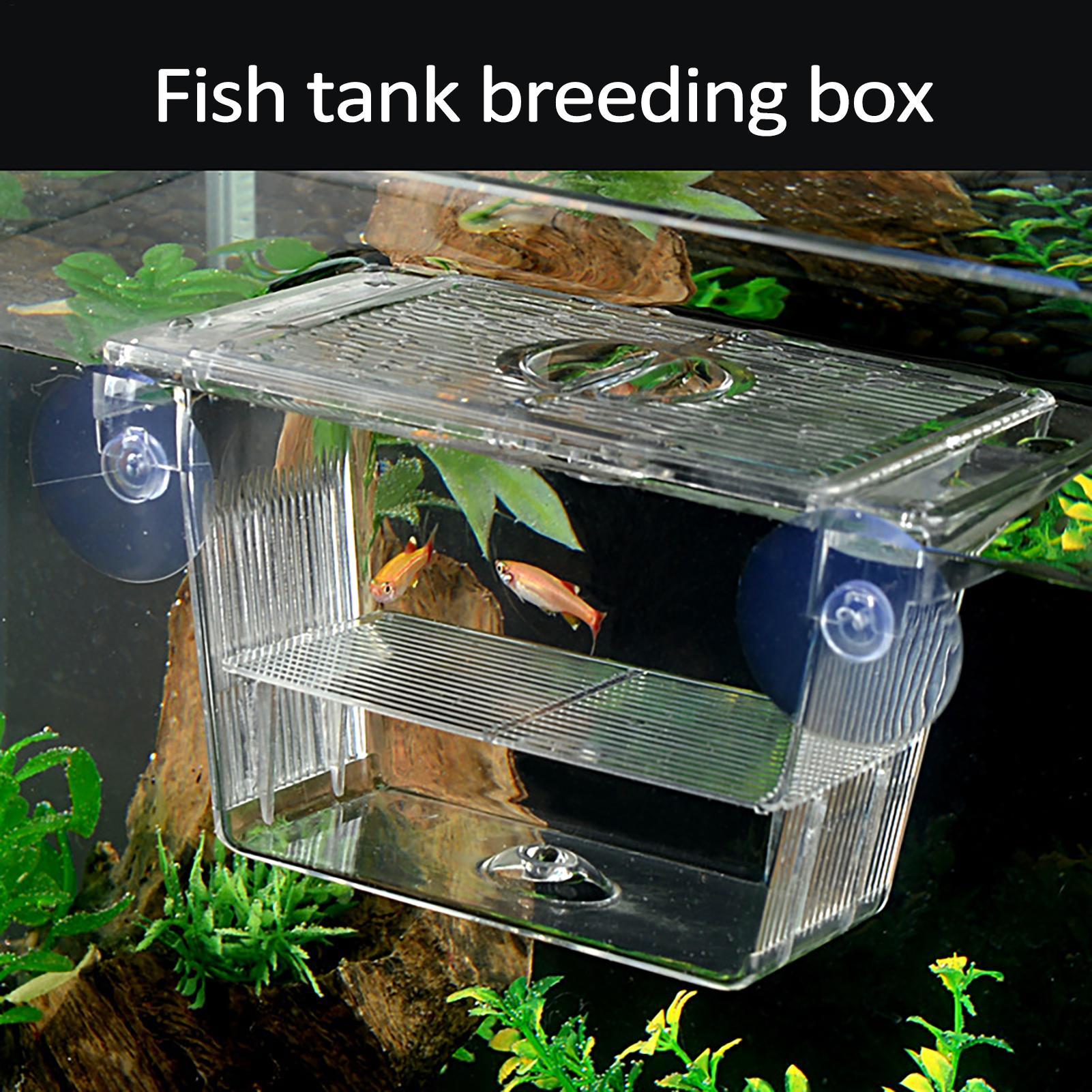 Breeder Box for Fish Tank Tran - Aquarium Fish In Bowl recension och pris