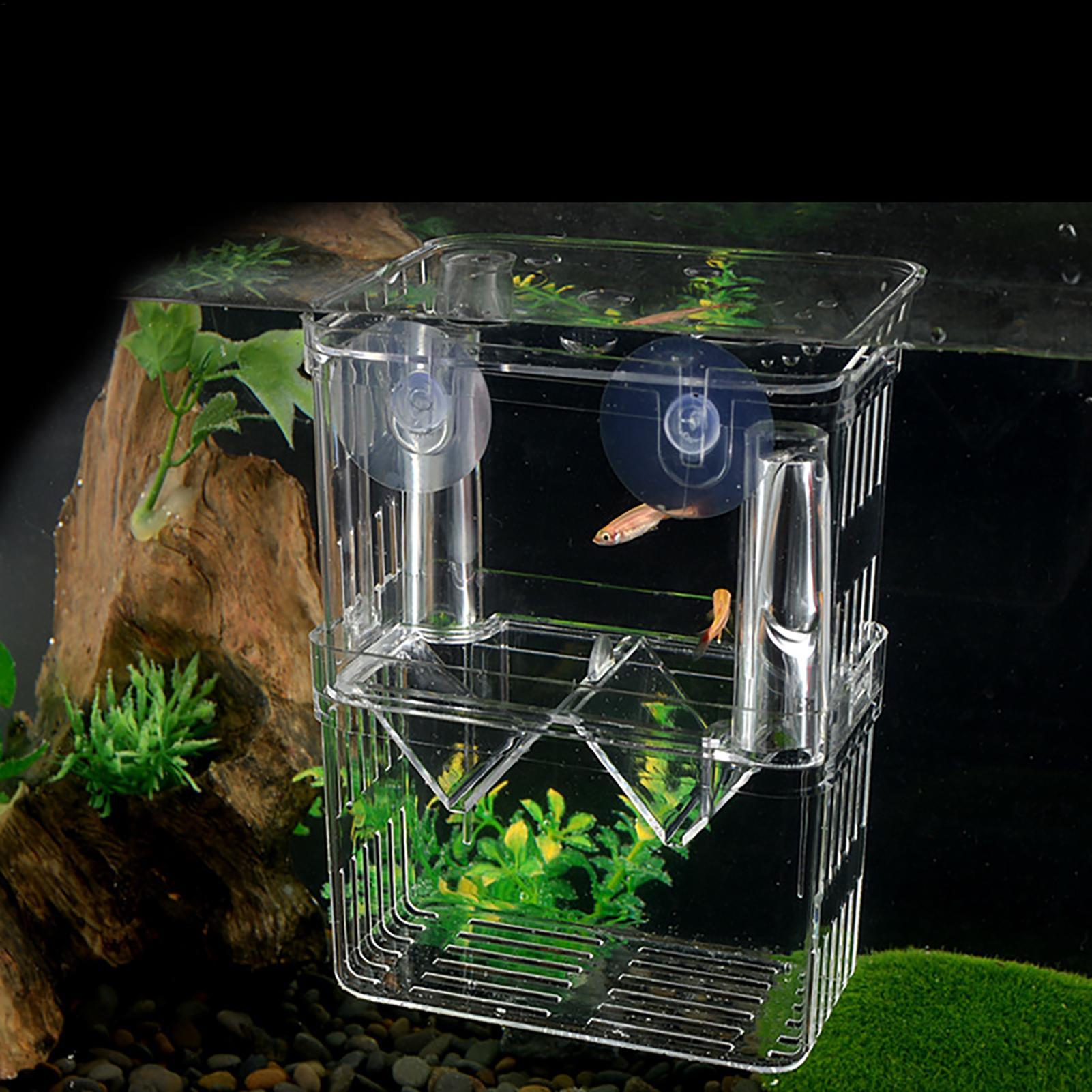 Breeder Box for Fish Tank Tran - Aquarium Fish In Bowl recension och pris