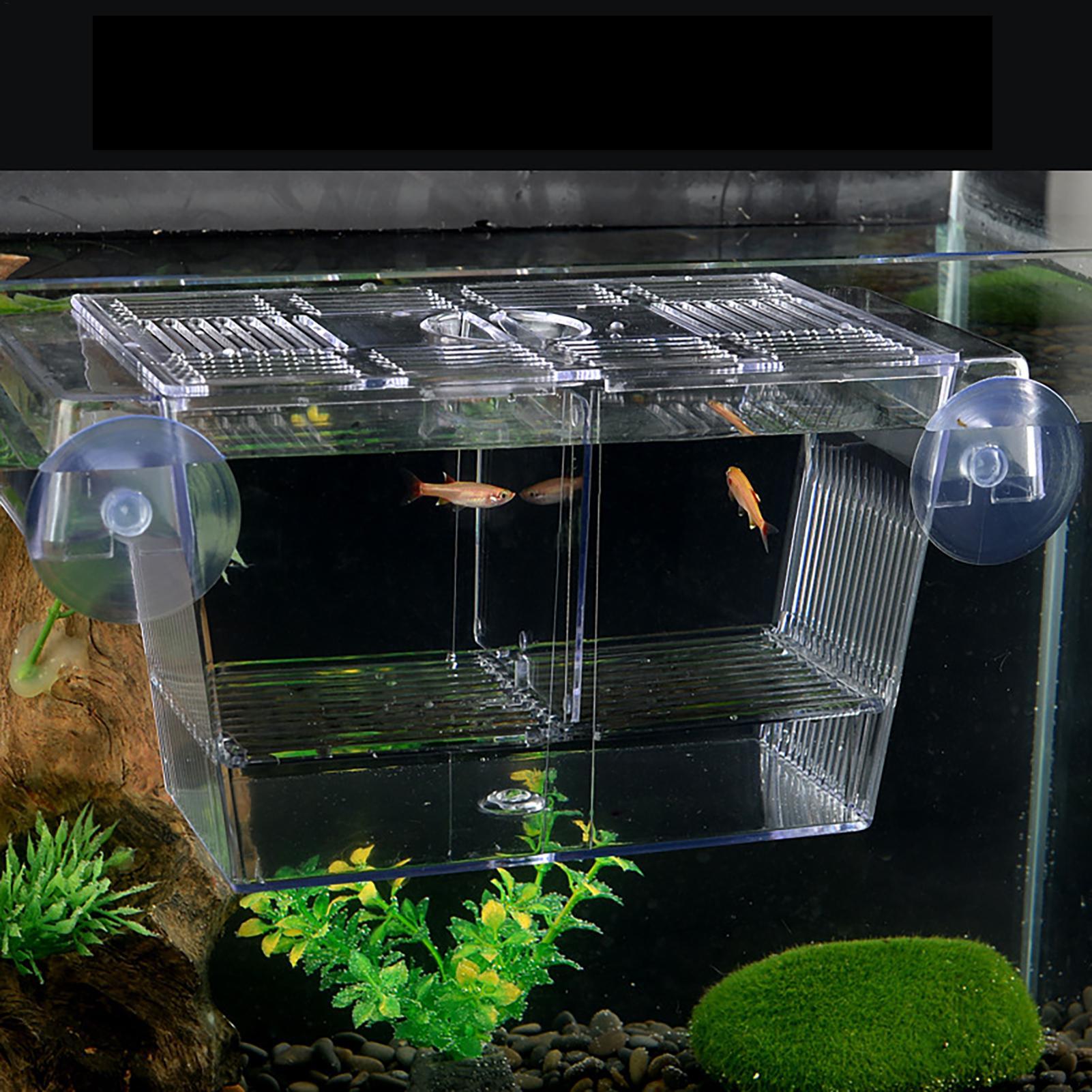 Breeder Box for Fish Tank Tran - Aquarium Fish In Bowl recension och pris
