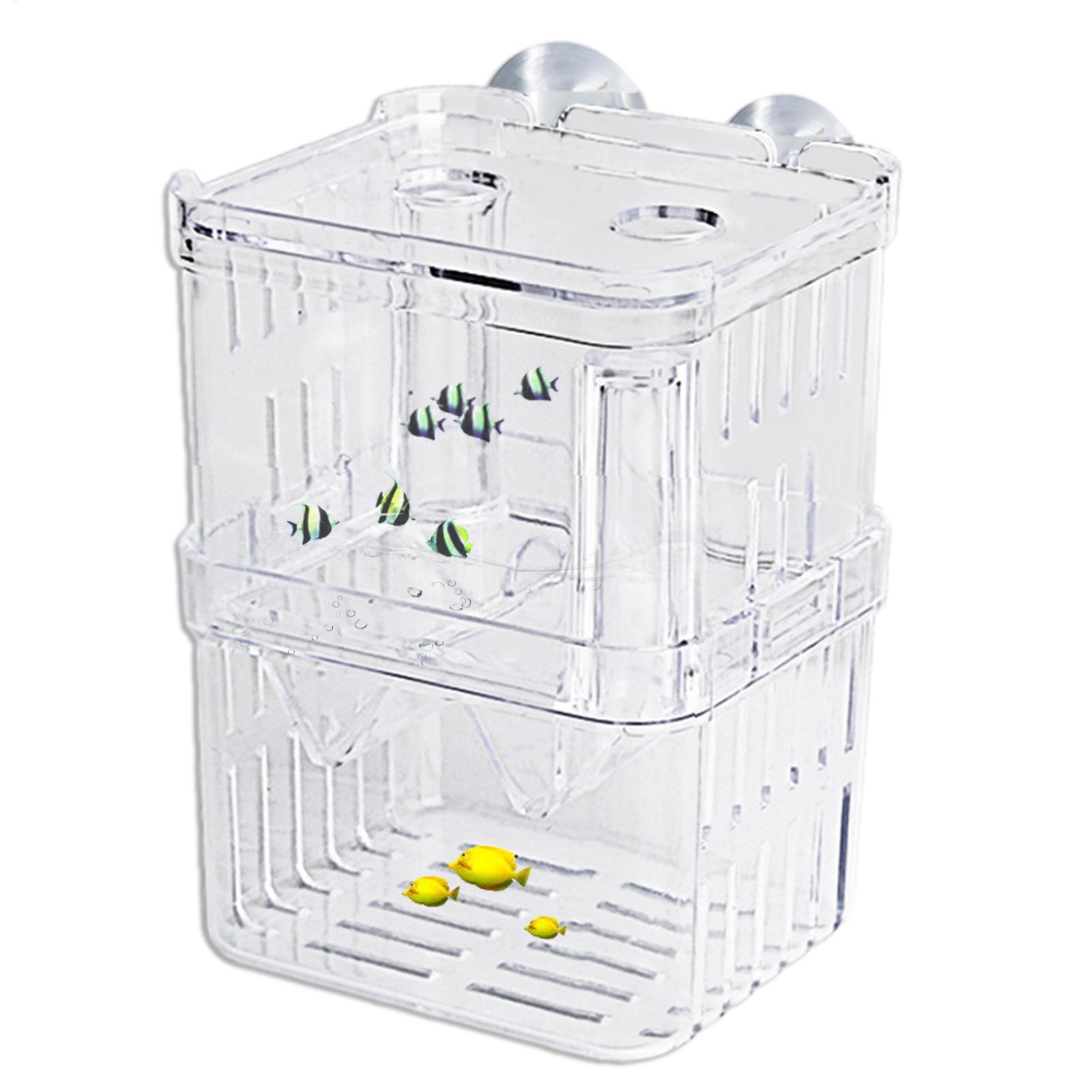 Breeder Box for Fish Tank Tran - Aquarium Fish In Bowl recension och pris