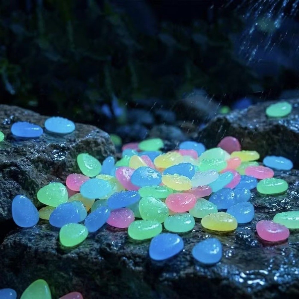 Resin Glow-in-the-Dark Garden  - Aquarium Fish That Glow In The Dark recension och pris