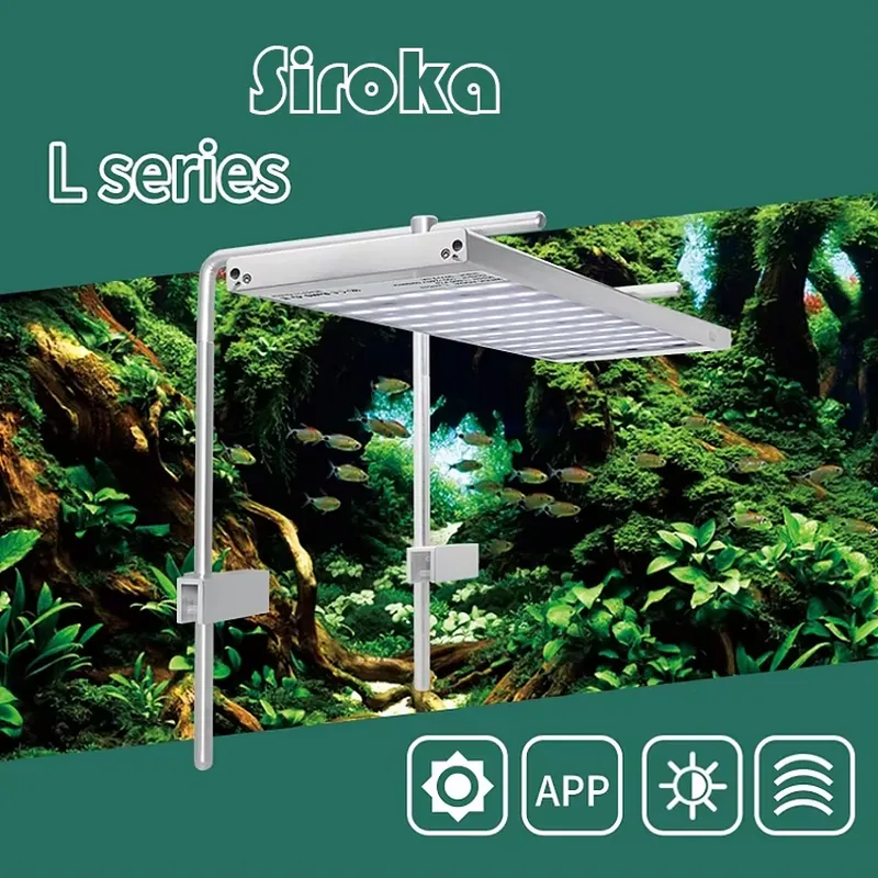 Hot Sale Silver 55W-110W Dimma - Aquarium Fish For Sale recension och pris