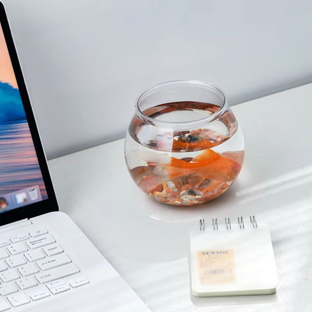 New Transparent Fish Tank Roun - Aquarium Fish In Bowl recension och pris