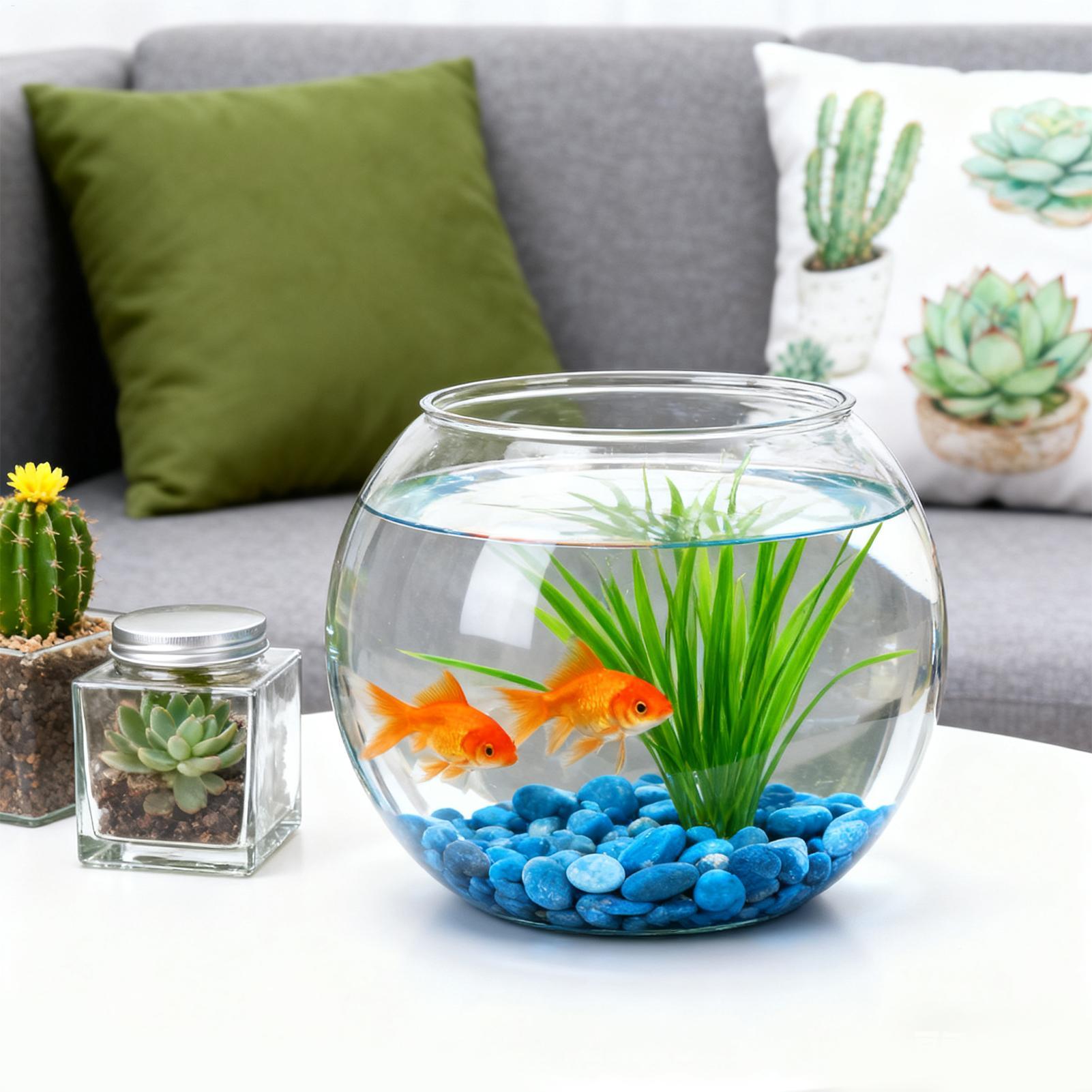 Bubble Bowl Space-Saving Aquar - Aquarium Fish In Bowl recension och pris