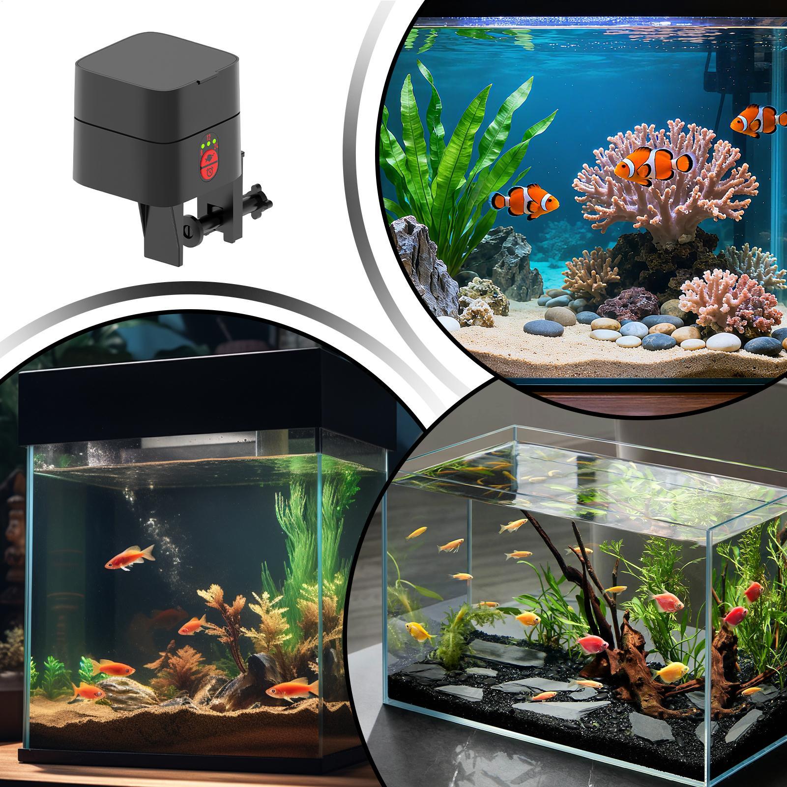 Auto Fish Feeder For Aquarium  - Aquarium Fish In Bowl recension och pris