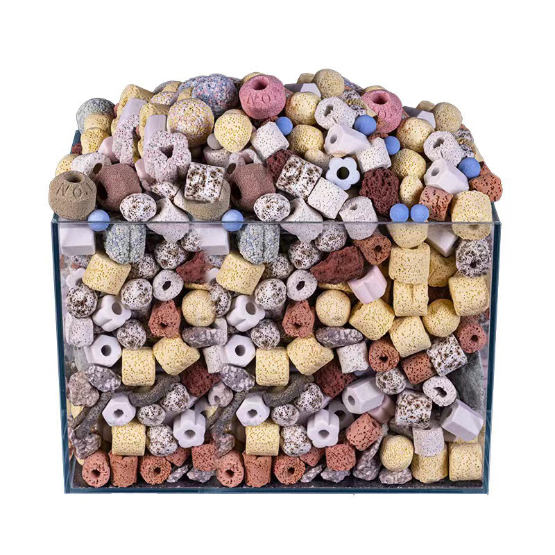 250g 500g 1000g 14 Types Aquar - Aquarium Fish For Sale Online recension och pris