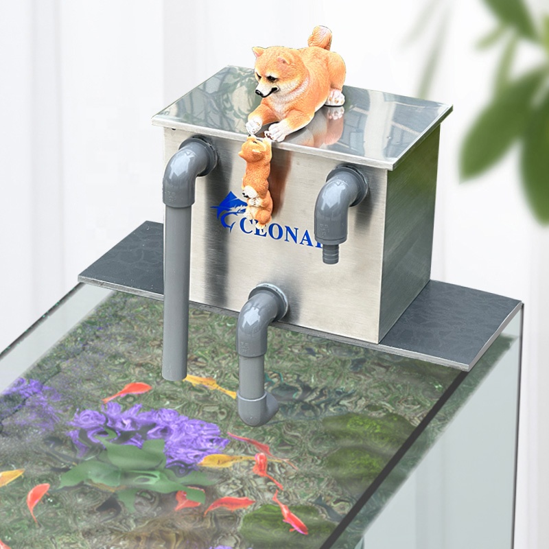 Factory Direct Sales Aquarium  - Aquarium Fish For Sale recension och pris