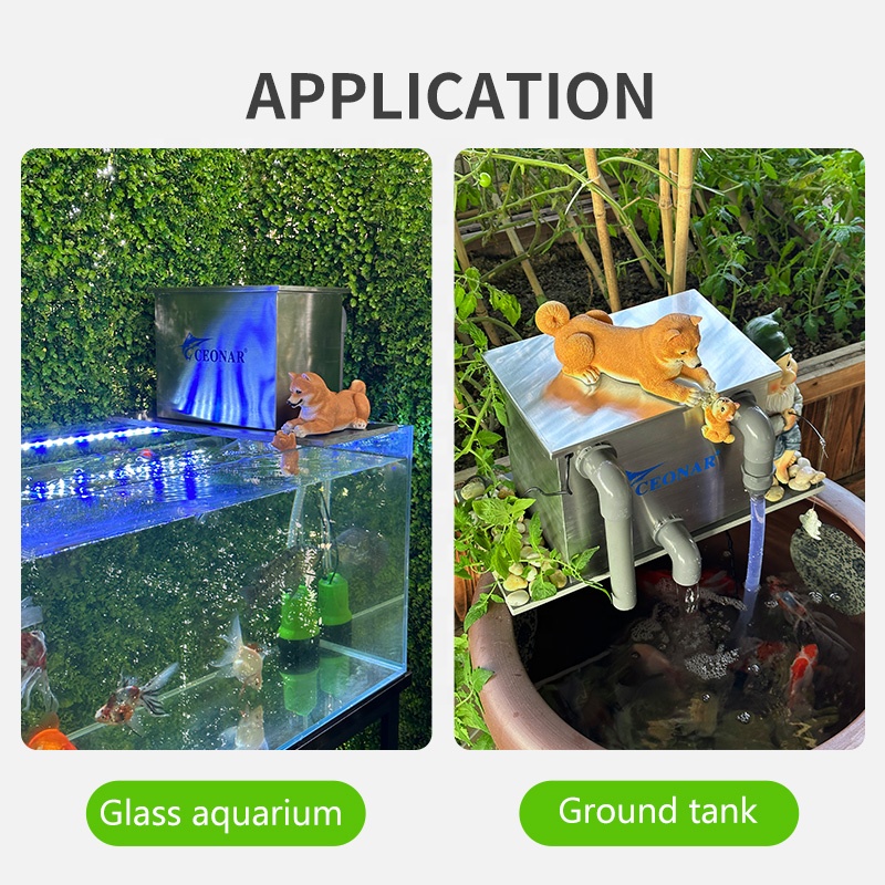 Factory Direct Sales Aquarium  - Aquarium Fish For Sale recension och pris
