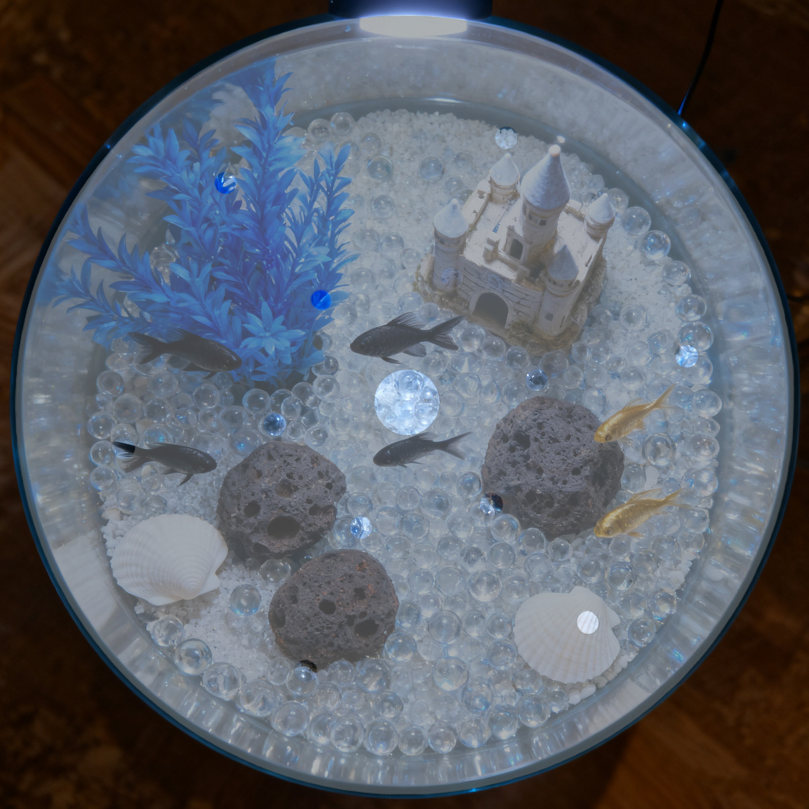 7 Inch Round Acrylic Fish Tank - Aquarium Fish In Bowl recension och pris