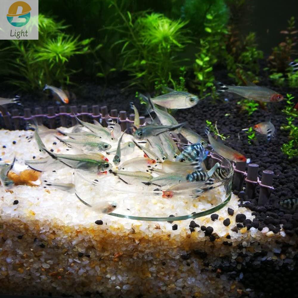 Aquarium Feeder Bowls Dish Cle - Aquarium Fish Keeping recension och pris