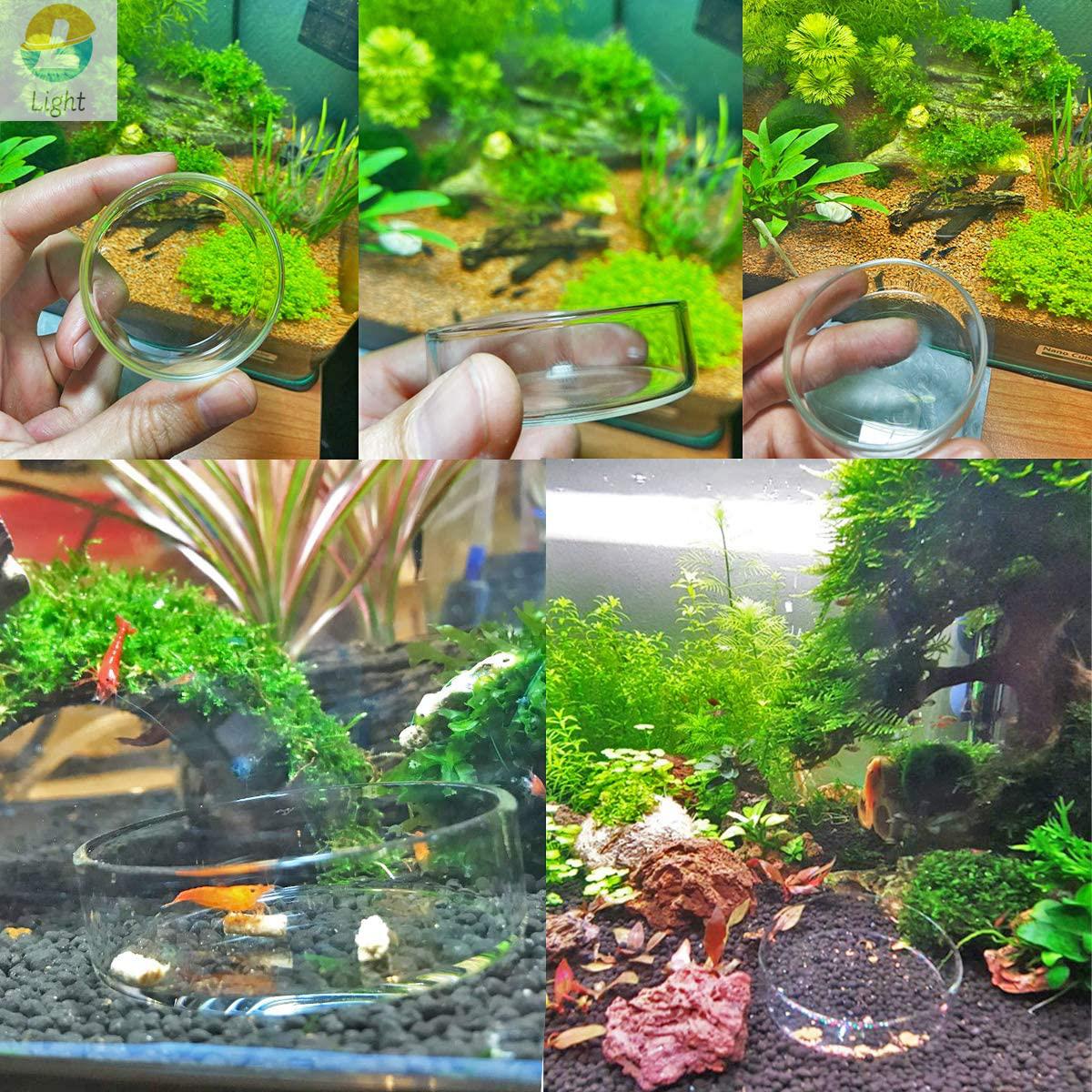Aquarium Feeder Bowls Dish Cle - Aquarium Fish Keeping recension och pris